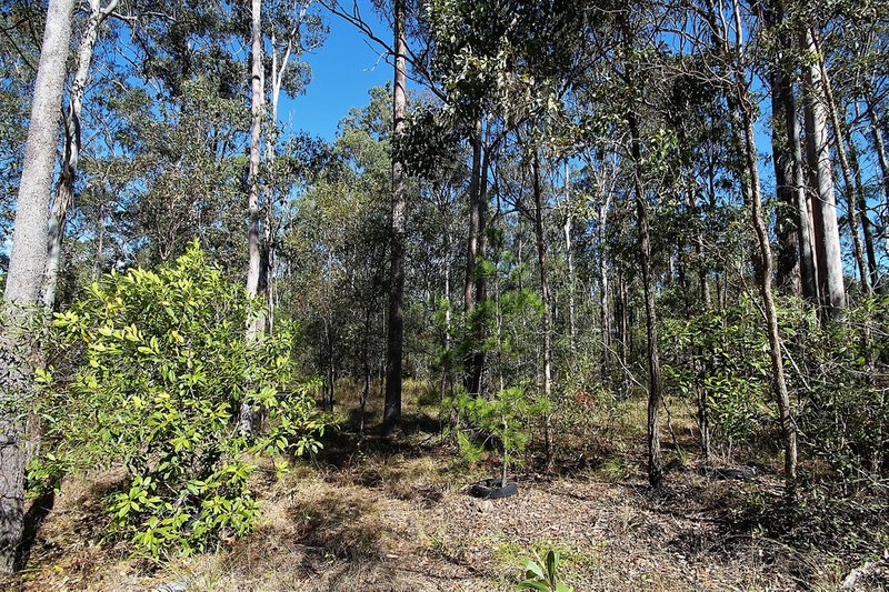 Photo - Lot 457 Arborsixteen Road, Glenwood QLD 4570 - Image 5