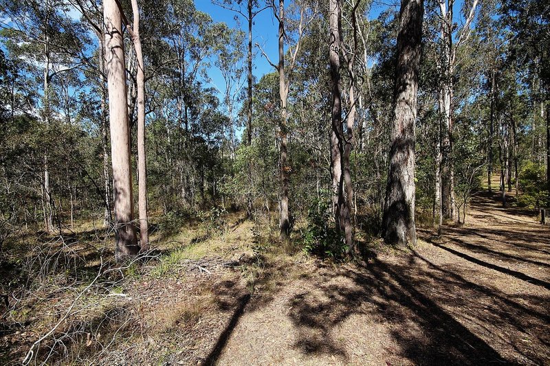 Photo - Lot 457 Arborsixteen Road, Glenwood QLD 4570 - Image 8