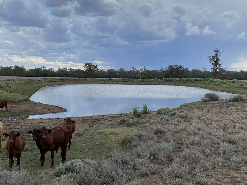 Lot 458 Burtons Road, Roma QLD 4455