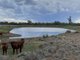 Photo - Lot 458 Burtons Road, Roma QLD 4455 - Image 1