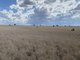 Photo - Lot 458 Burtons Road, Roma QLD 4455 - Image 8