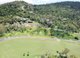 Photo - Lot 46 Acacia Grove, Cannonvale QLD 4802 - Image 1