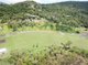 Photo - Lot 46 Acacia Grove, Cannonvale QLD 4802 - Image 2