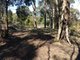 Photo - Lot 46 Dales Creek Avenue, Dales Creek VIC 3341 - Image 2