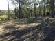 Photo - Lot 46 Dales Creek Avenue, Dales Creek VIC 3341 - Image 3