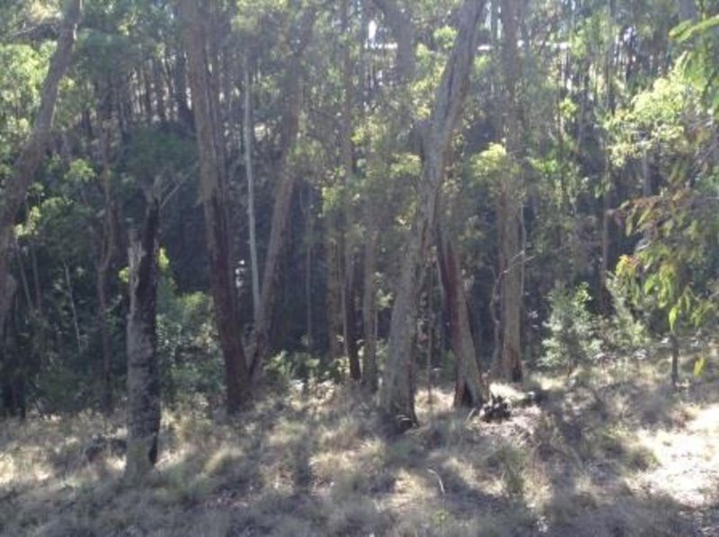 Photo - Lot 46 Dales Creek Avenue, Dales Creek VIC 3341 - Image 4