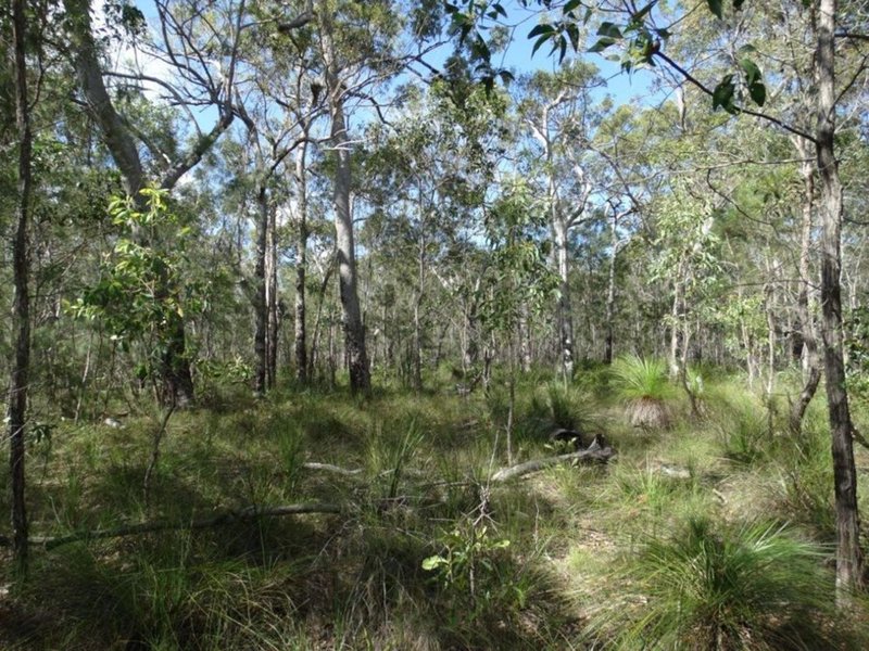 Photo - Lot 47 Matchboxroad , Deepwater QLD 4674 - Image 2