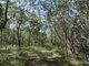 Photo - Lot 47 Matchboxroad , Deepwater QLD 4674 - Image 4