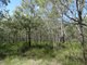 Photo - Lot 47 Matchboxroad , Deepwater QLD 4674 - Image 5