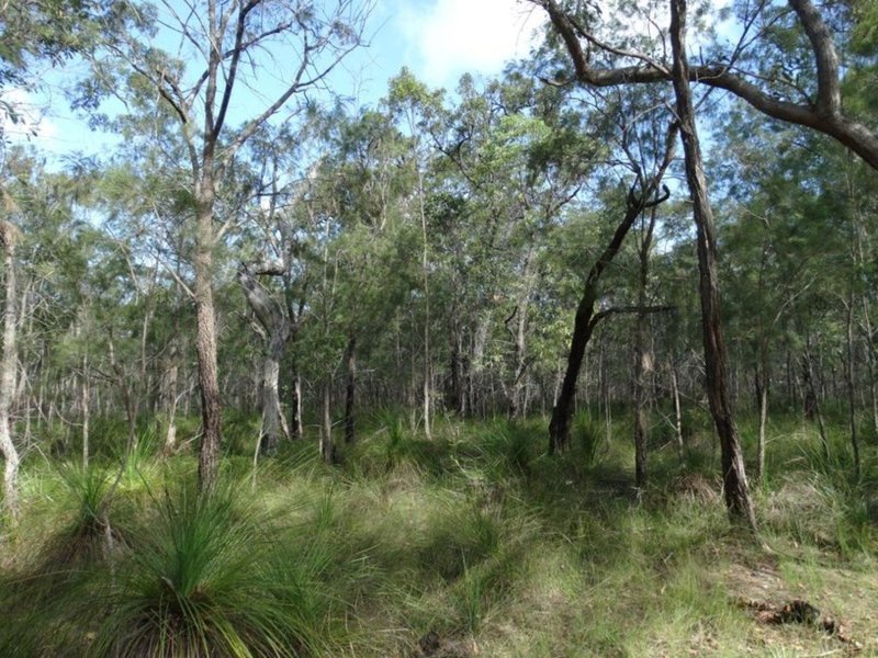 Photo - Lot 47 Matchboxroad , Deepwater QLD 4674 - Image 7