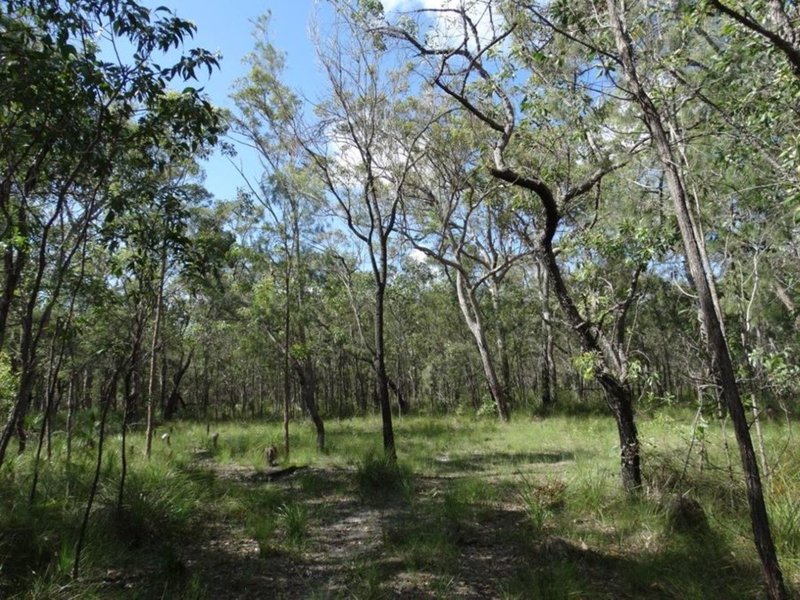 Photo - Lot 47 Matchboxroad , Deepwater QLD 4674 - Image 8