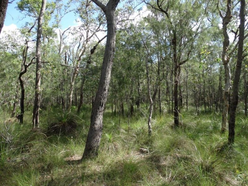 Photo - Lot 47 Matchboxroad , Deepwater QLD 4674 - Image 9