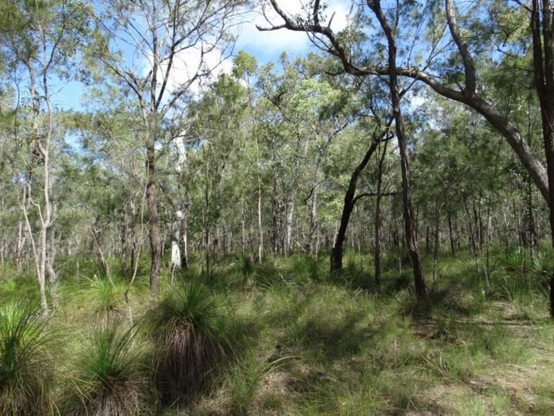 Photo - Lot 47 Matchboxroad , Deepwater QLD 4674 - Image 15