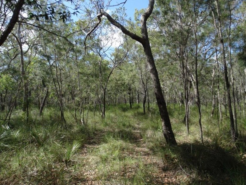 Photo - Lot 47 Matchboxroad , Deepwater QLD 4674 - Image 16