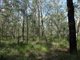 Photo - Lot 47 Matchboxroad , Deepwater QLD 4674 - Image 18