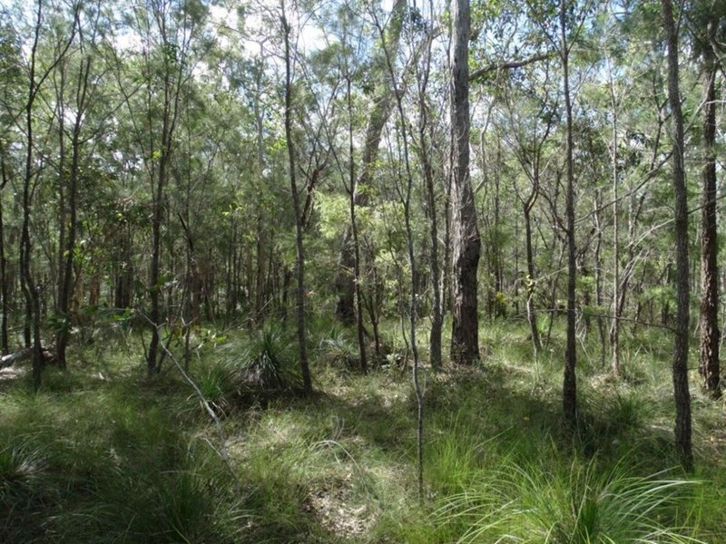 Photo - Lot 47 Matchboxroad , Deepwater QLD 4674 - Image 19