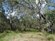 Photo - Lot 47 Matchboxroad , Deepwater QLD 4674 - Image 20