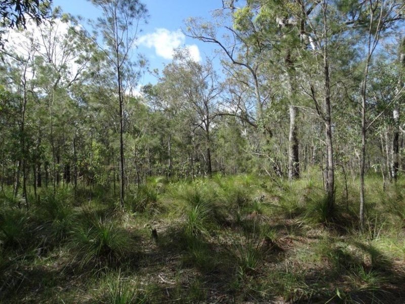 Photo - Lot 47 Matchboxroad , Deepwater QLD 4674 - Image 21