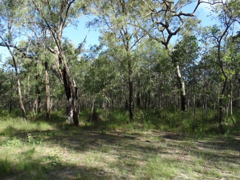 Photo - Lot 47 Matchboxroad , Deepwater QLD 4674 - Image 22