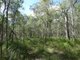 Photo - Lot 47 Matchboxroad , Deepwater QLD 4674 - Image 23