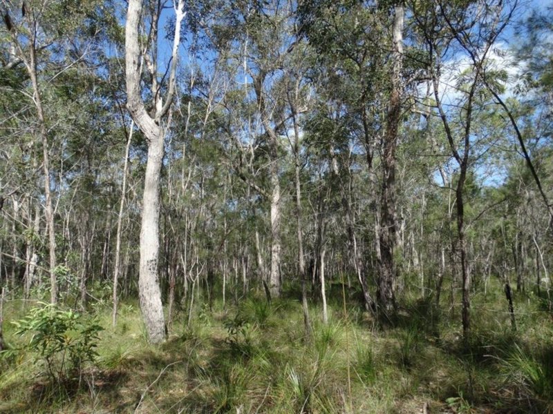 Photo - Lot 47 Matchboxroad , Deepwater QLD 4674 - Image 24