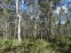 Photo - Lot 47 Matchboxroad , Deepwater QLD 4674 - Image 24