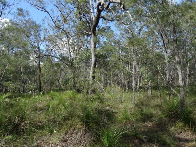 Photo - Lot 47 Matchboxroad , Deepwater QLD 4674 - Image 25