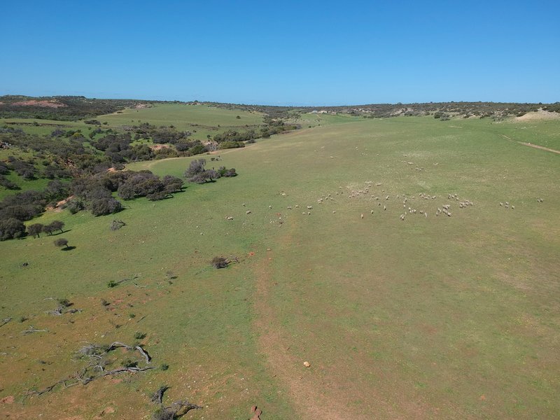 Photo - Lot 47 Woolawar Road, Bowes WA 6535 - Image 12