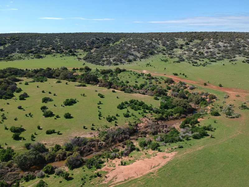 Photo - Lot 47 Woolawar Road, Bowes WA 6535 - Image 13