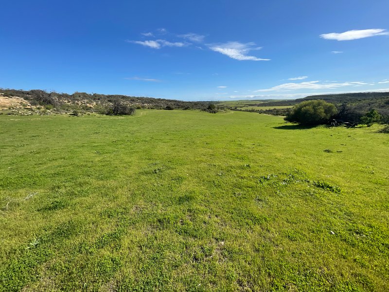 Photo - Lot 47 Woolawar Road, Bowes WA 6535 - Image 30