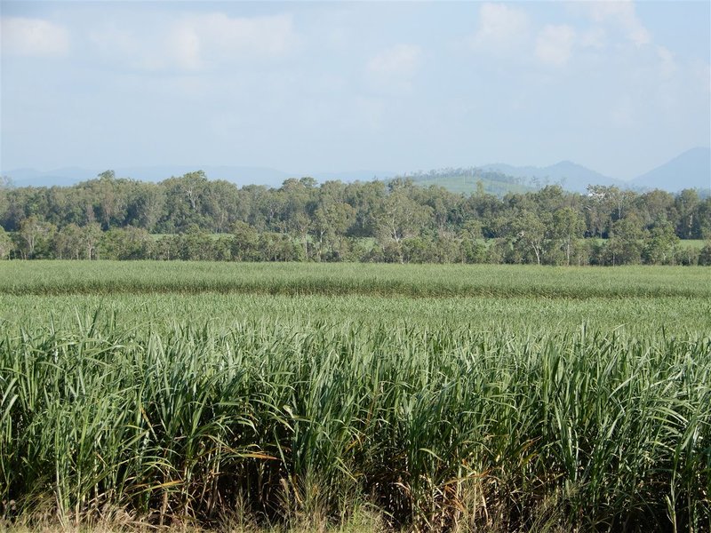 Photo - Lot 470 Surprise Creek Road, Mount Ossa QLD 4741 - Image 1