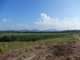 Photo - Lot 470 Surprise Creek Road, Mount Ossa QLD 4741 - Image 3