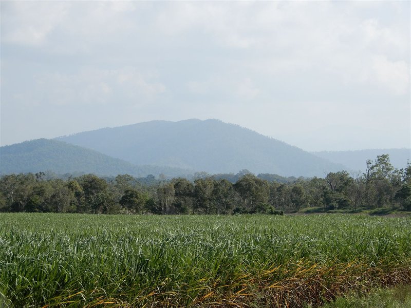 Photo - Lot 470 Surprise Creek Road, Mount Ossa QLD 4741 - Image 7