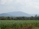 Photo - Lot 470 Surprise Creek Road, Mount Ossa QLD 4741 - Image 7