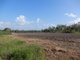 Photo - Lot 470 Surprise Creek Road, Mount Ossa QLD 4741 - Image 8