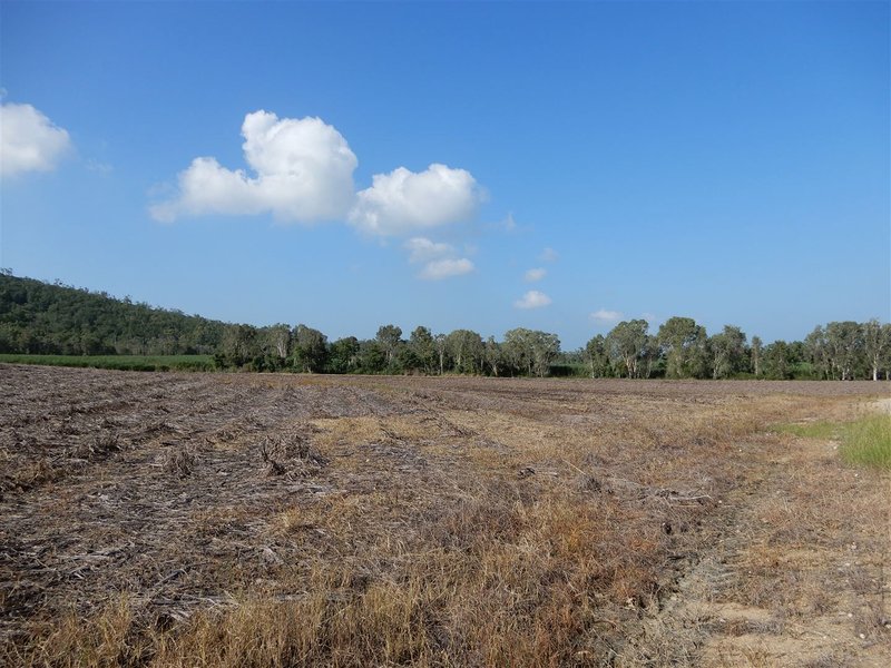 Photo - Lot 470 Surprise Creek Road, Mount Ossa QLD 4741 - Image 9