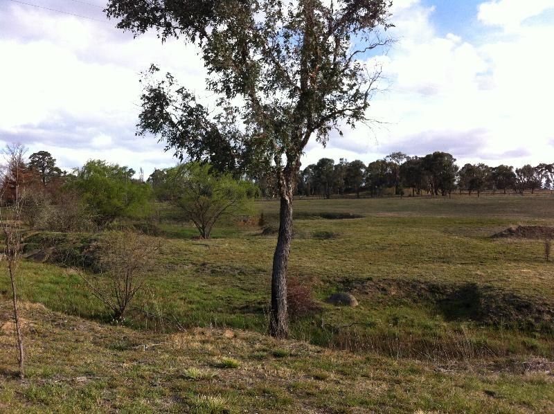 Photo - Lot 473/473 Barleyfields Rd , Uralla NSW 2358 - Image 3