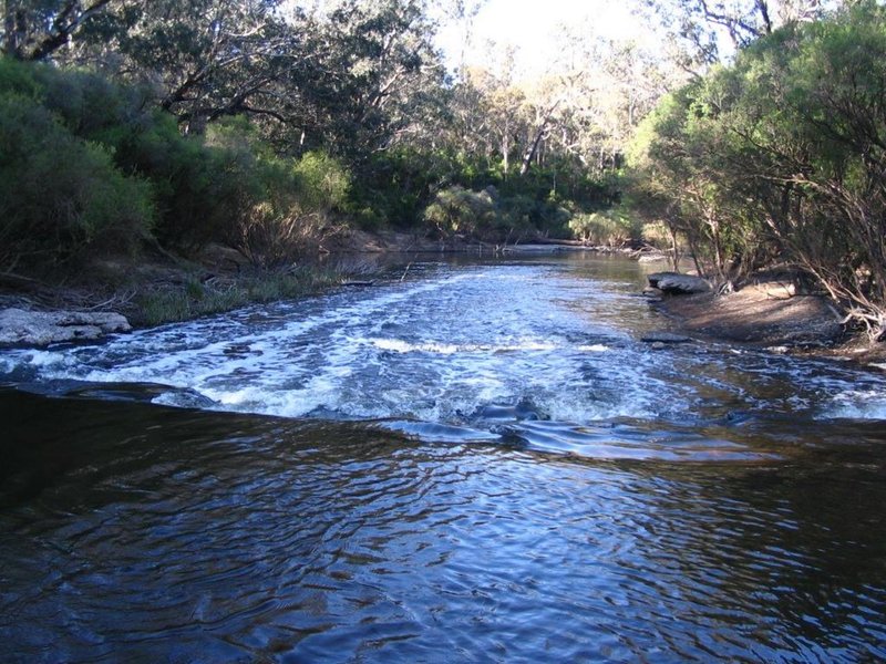 Photo - Lot 48 Leschenaultia Drive, Nannup WA 6275 - Image 15