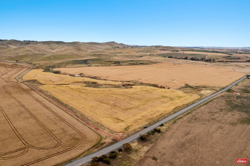 Photo - Lot 49, 91 Eudunda Road, Dutton SA 5356 - Image 2