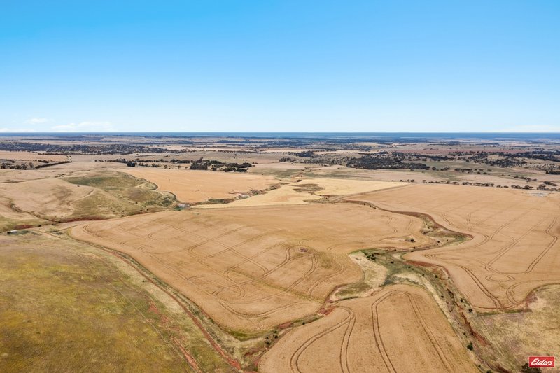 Photo - Lot 49, 91 Eudunda Road, Dutton SA 5356 - Image 4