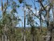 Photo - Lot 49 Blacksmith Lane, Pratten QLD 4370 - Image 4