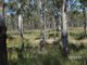 Photo - Lot 49 Blacksmith Lane, Pratten QLD 4370 - Image 6