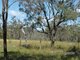 Photo - Lot 49 Blacksmith Lane, Pratten QLD 4370 - Image 8