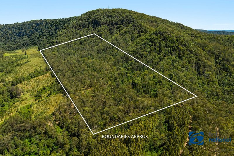 Photo - Lot 49 Joes Box Road, Yabbra NSW 2469 - Image 2