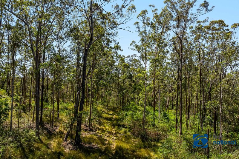 Photo - Lot 49 Joes Box Road, Yabbra NSW 2469 - Image 3