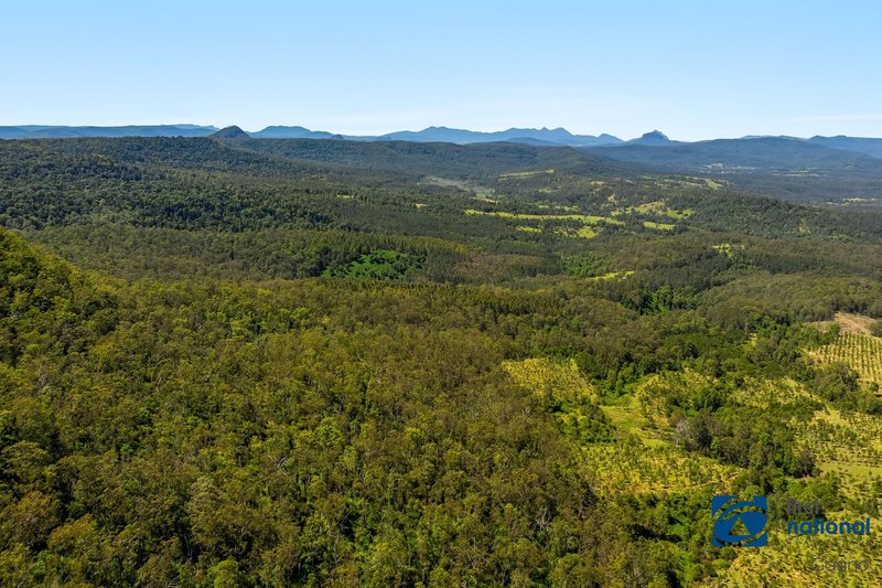 Photo - Lot 49 Joes Box Road, Yabbra NSW 2469 - Image 4