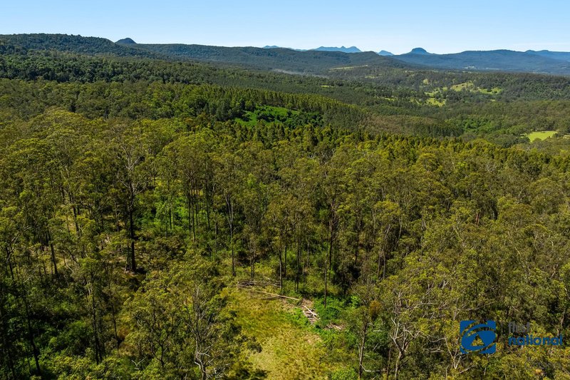 Photo - Lot 49 Joes Box Road, Yabbra NSW 2469 - Image 5