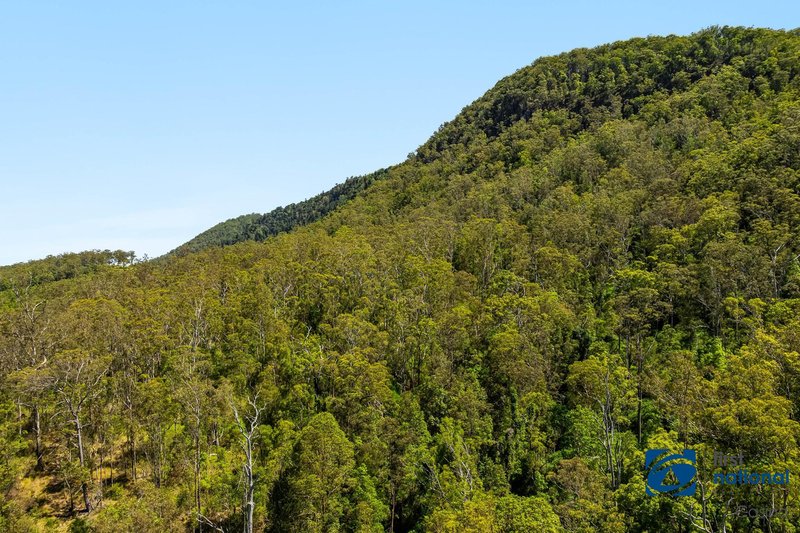 Photo - Lot 49 Joes Box Road, Yabbra NSW 2469 - Image 6