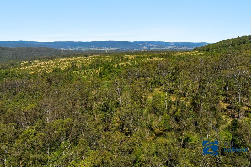 Photo - Lot 49 Joes Box Road, Yabbra NSW 2469 - Image 7