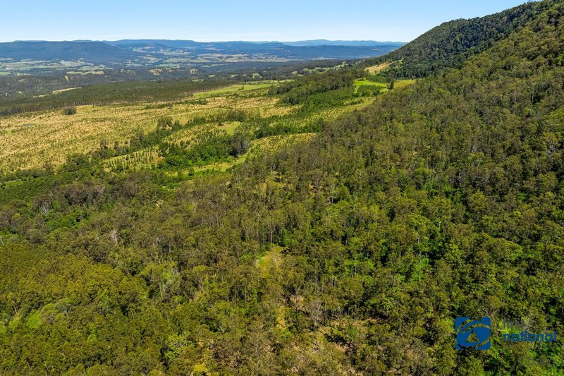 Photo - Lot 49 Joes Box Road, Yabbra NSW 2469 - Image 8